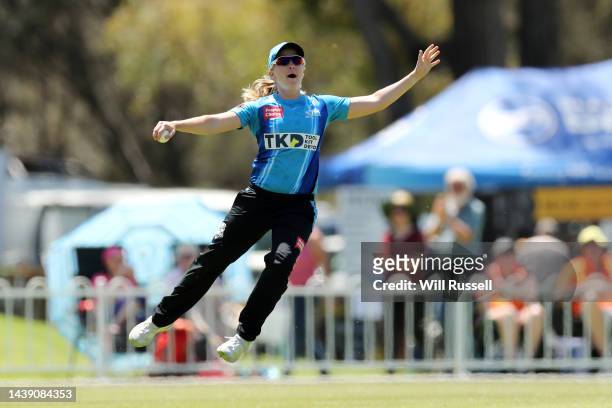 Jemma Barsby of the Strikers celebrates after taking a catch to dismiss Tess Flintoff of the Stars during the Women's Big Bash League match between...