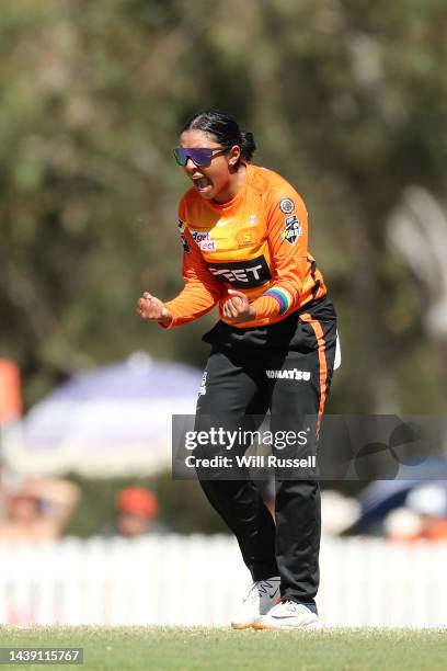 Alana King of the Scorchers celebrates after taking the wicket of Maitlan Brown of the Sixers during the Women's Big Bash League match between the...