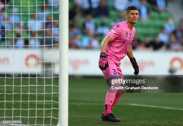 Liam Reddy of the Glory in action during the round five A-League Men's match between Melbourne City and Perth Glory at AAMI Park on November 05 in...