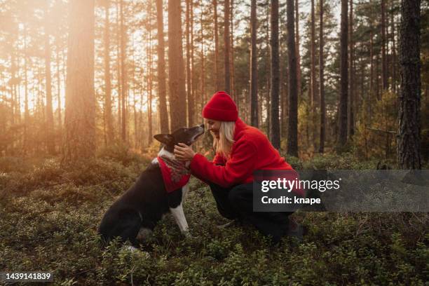 woman and her dog out on hike in nature forest landscape in sunset - winter dog stock pictures, royalty-free photos & images