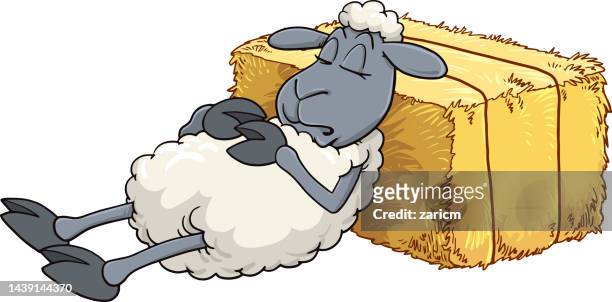 cute vector illustration of sleeping sheep - sheep funny stock illustrations