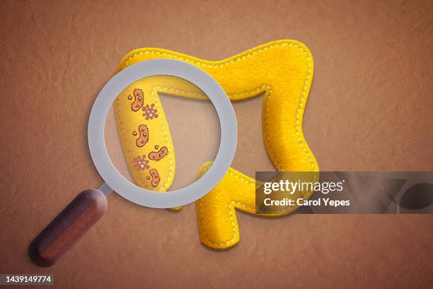 gastroenterology, healthy digestion, microbiome intestine concept - ghiandola intestinale foto e immagini stock