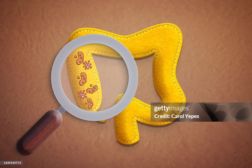 Gastroenterology, healthy digestion, microbiome intestine concept