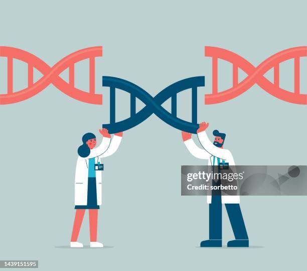 genetic engineering - conjugation biological process stock illustrations