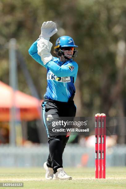 Tegan McPharlin of the Strikers during the Women's Big Bash League match between the Melbourne Stars and the Adelaide Strikers at Lilac Hill, on...