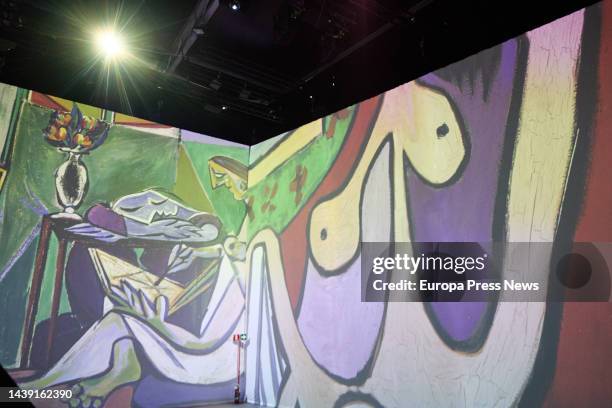 Projection of a work by Picasso at the exhibition 'Imagine Picasso' at IFEMA Madrid, on November 5 in Madrid, Spain. 'Imagine Picasso' is the only...