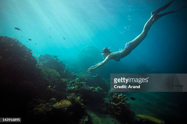 deep snorkeling - snorkel reef stock pictures, royalty-free photos & images