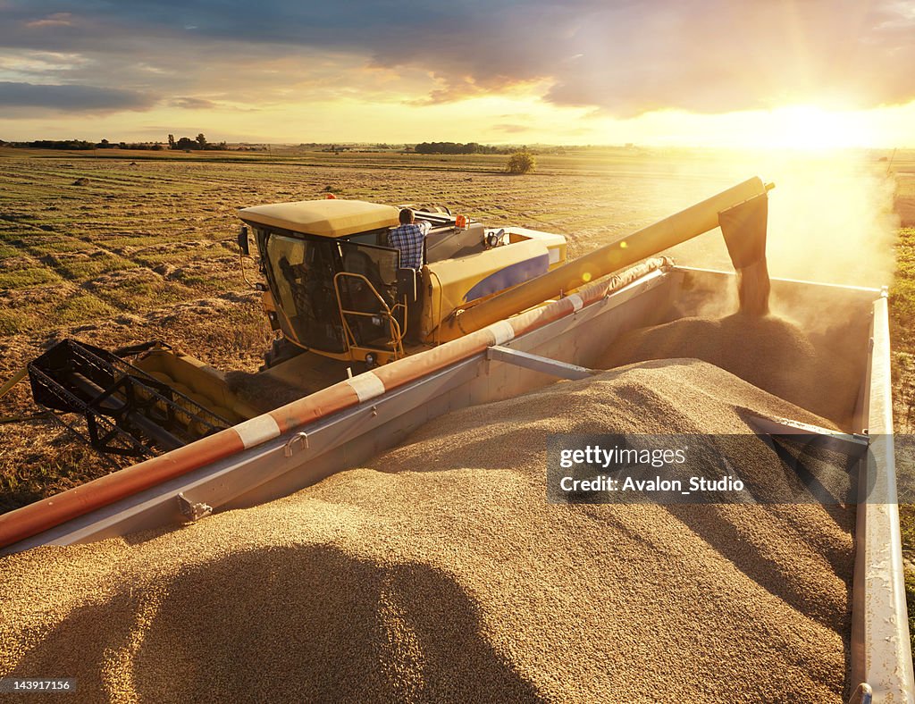 Harvester