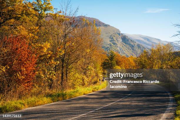 fall foliage in abruzzo national park, road and colors - abruzzo national park stock pictures, royalty-free photos & images