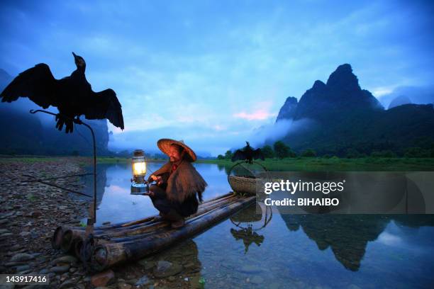 fisherman holding flashlight and two crows - cormorant stock pictures, royalty-free photos & images