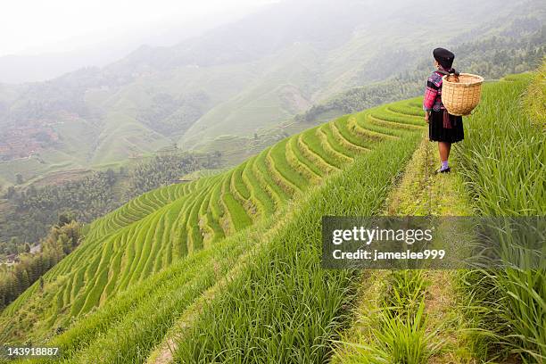 yao tribe frau - longsheng stock-fotos und bilder