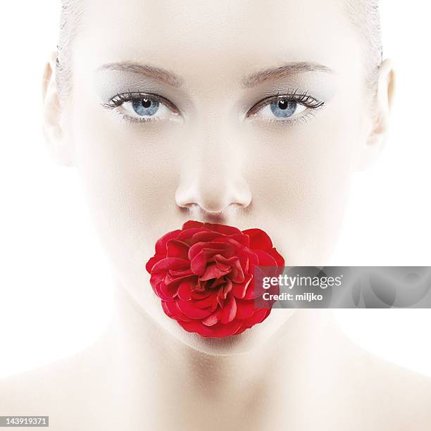 high key portrait of blue eyed beauty with red rose - carrying in mouth stock pictures, royalty-free photos & images