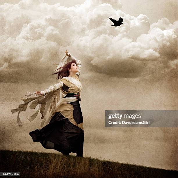 flying dreams - white crow stock pictures, royalty-free photos & images