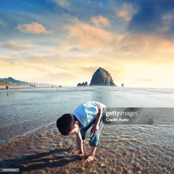 beach play tempo - cannon beach foto e immagini stock