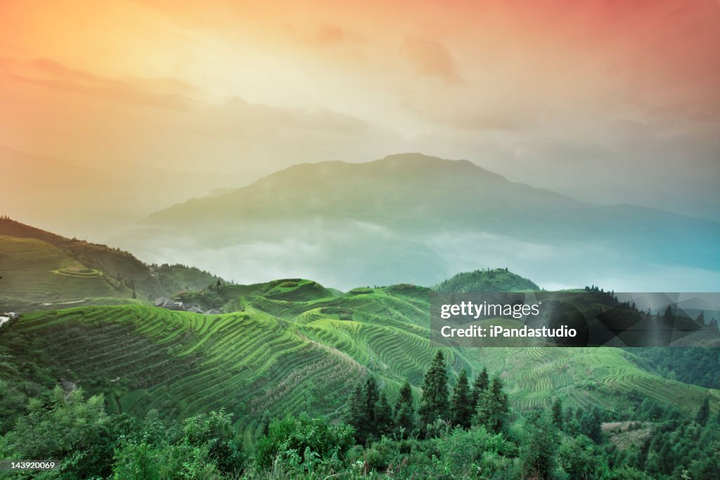 Longji com Terraço campos na China