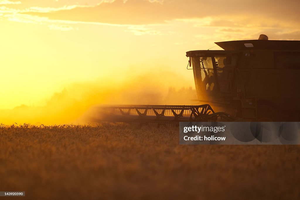 Harvesting Into The Sunset