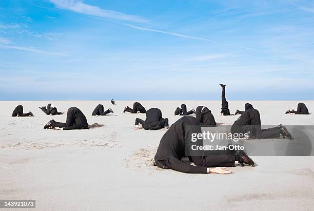 verstecken kopf in den sand - den kopf in den sand stecken stock-fotos und bilder