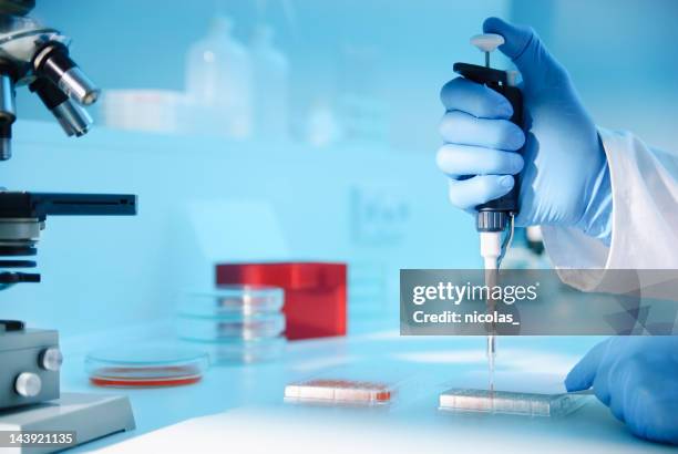 54 Plate Measuring Microscope Stock Photos, High-Res Pictures, and ...