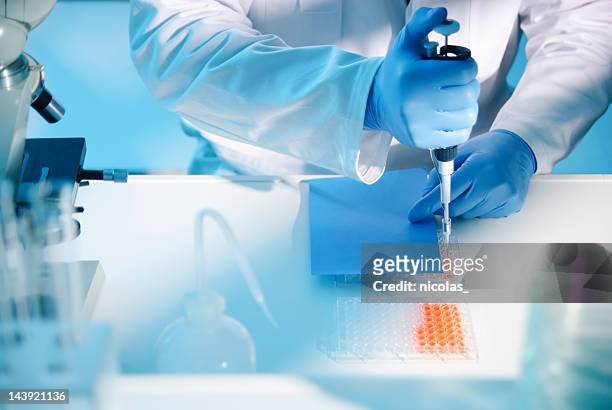 lab experiment - microplate stock pictures, royalty-free photos & images