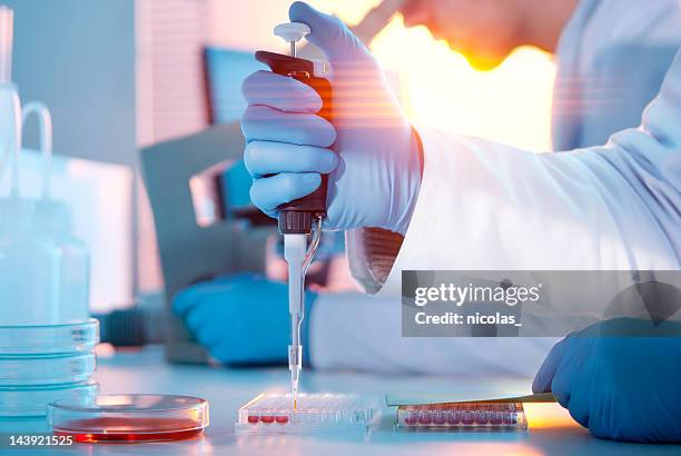 lab experimentieren - medizinische forschung stock-fotos und bilder