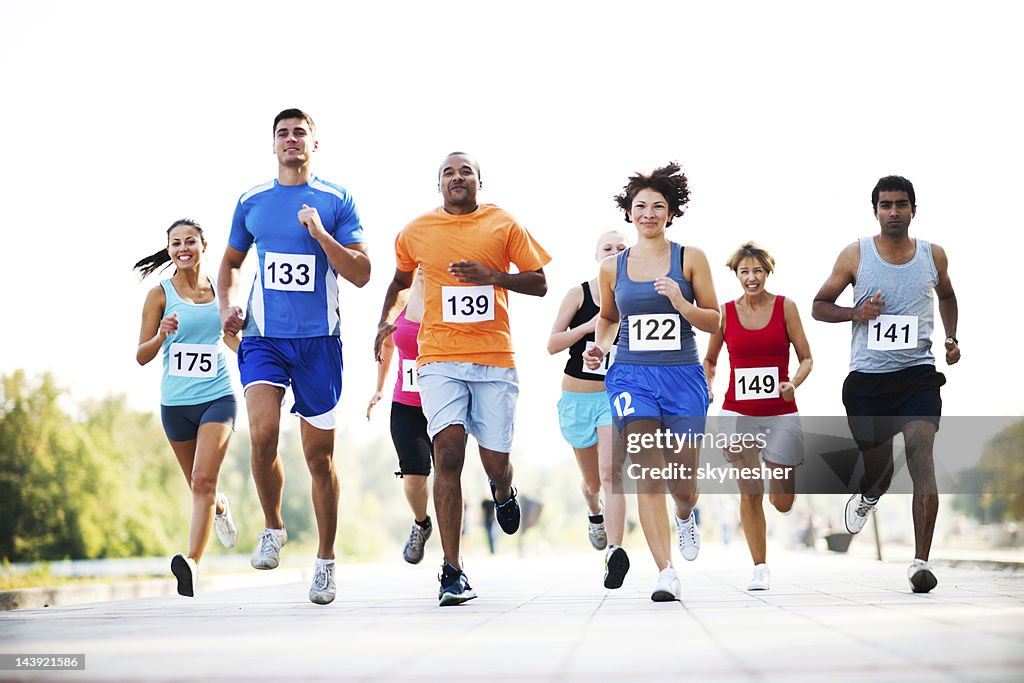 Grupo de corredores em um cross country corrida.