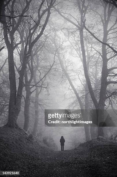 figura en misty woodland - dark forest fotografías e imágenes de stock