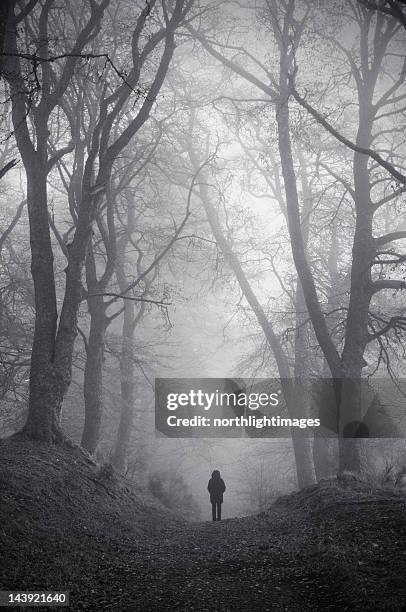 figure in misty woodland - spooky fog stock pictures, royalty-free photos & images