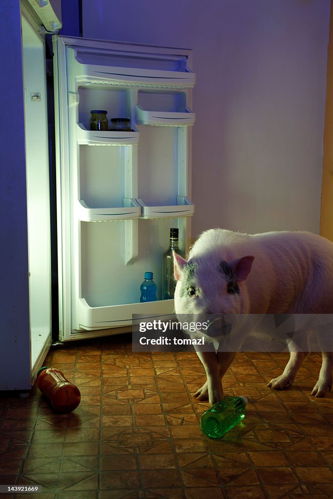 Voleur-porc et d'un réfrigérateur