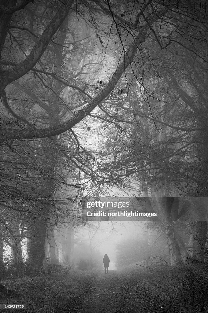 Shadowy image walking in misty wooded road