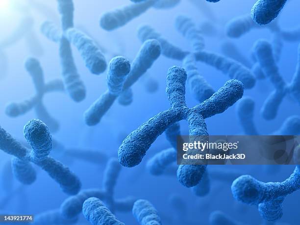 3d illustration of x chromosomes - chromosome stock pictures, royalty-free photos & images