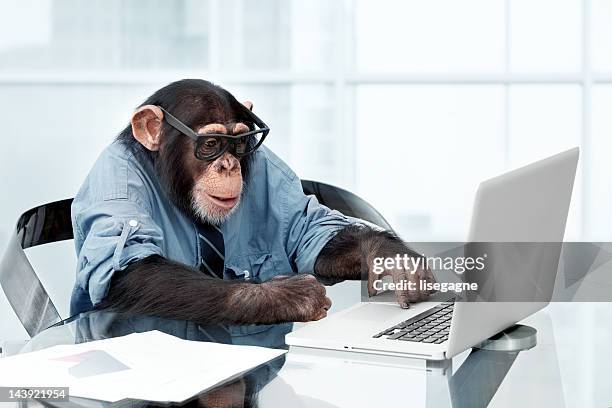 hombre de negocios en ropa chimpancé - monkey wearing glasses fotografías e imágenes de stock