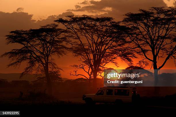 serengeti, africa sunset behind trees and a safari vehicle - safari sunset stock pictures, royalty-free photos & images