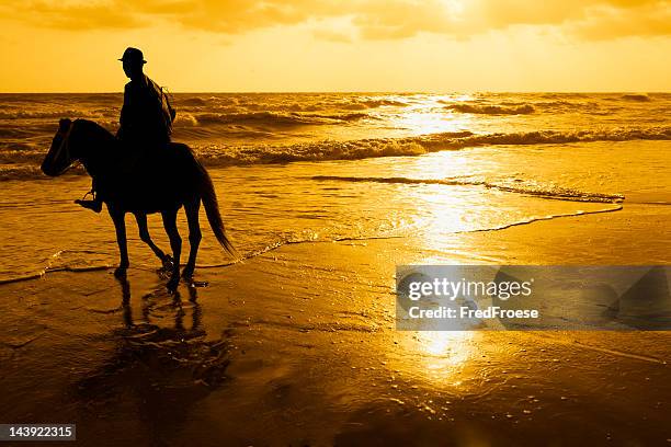 rider on the beach - hua hin stockfoto's en -beelden