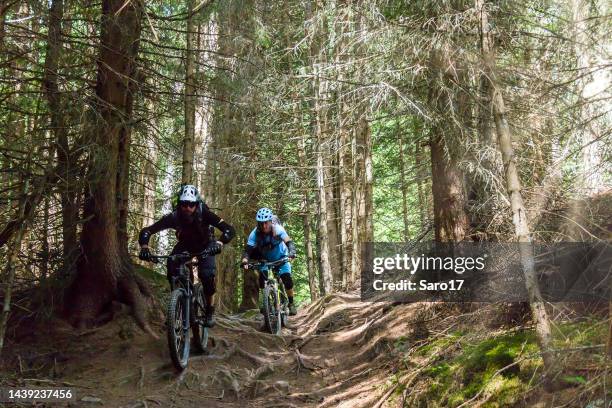 Bumpy Path Team 360 Bumpy Path Stock Photos, High-Res Pictures, and Images - Getty Images