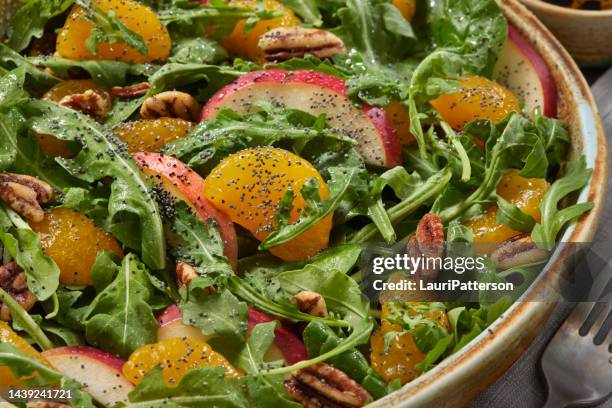 salada de laranja mandarim com rúcula - poppy seed - fotografias e filmes do acervo