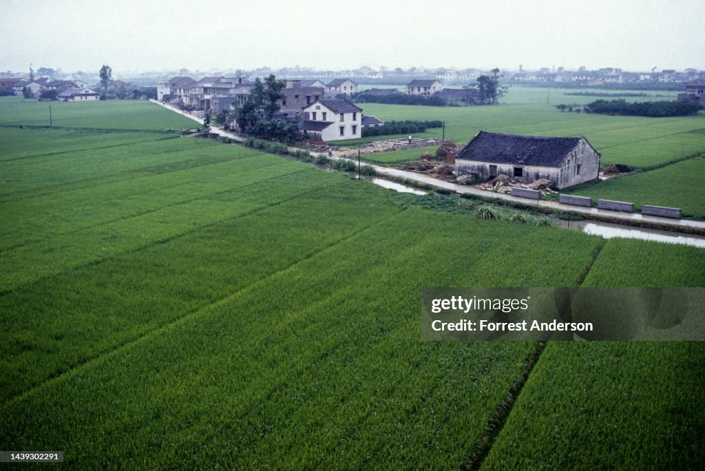 Early Rice Field Aerial view of rice fields with houses in China, late 1980s. News Photo ...