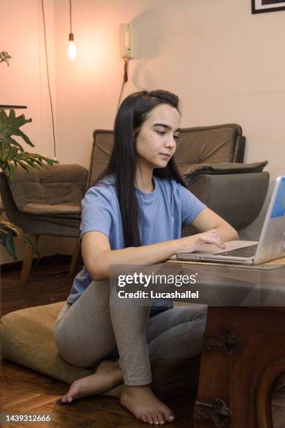 young girl using computer - caneta stockfoto's en -beelden