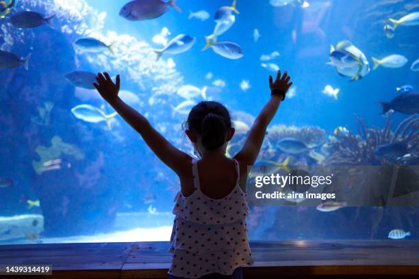 girl waving to fish with outstretched arms as she watches them through fish tank glass in a large aquarium - ciutat de les arts i les ciències bildbanksfoton och bilder