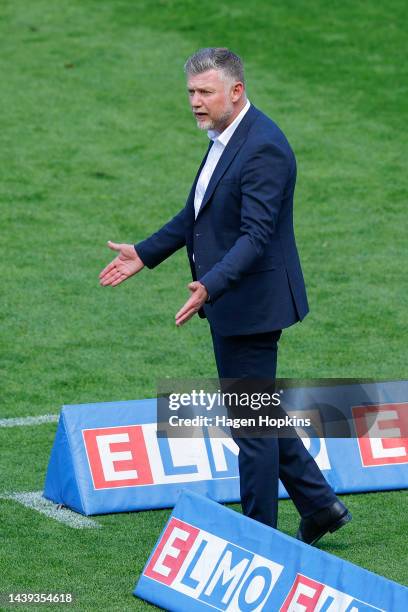 Coach Ufuk Talay of the Phoenix appeals to Fourth Official Anna-Marie Keighly during the round five A-League Men's match between Wellington Phoenix...