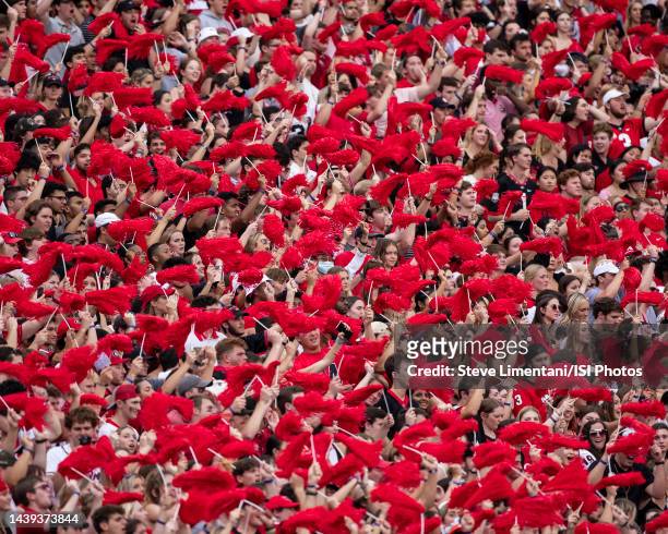 Georgia fans cheer their team on during a game between Tennessee Volunteers and Georgia Bulldogs at Sanford Stadium on November 5, 2022 in Athens,...