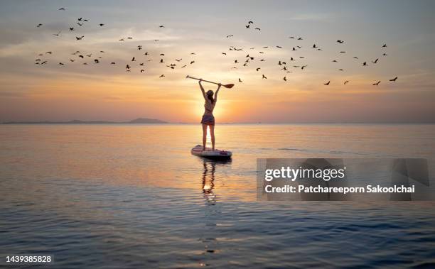 moving the sea sup - kayaking beach stock pictures, royalty-free photos & images