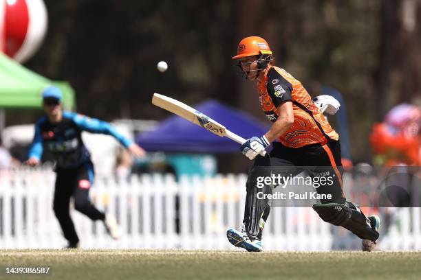 Sophie Devine of the Scorchers bats during the Women's Big Bash League match between the Perth Scorchers and the Adelaide Strikers at Lilac Hill, on...