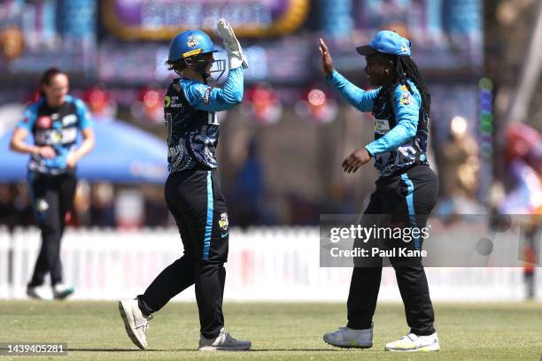 Tegan McPharlin and Deandra Dottin of the Strikers high five during the Women's Big Bash League match between the Perth Scorchers and the Adelaide...