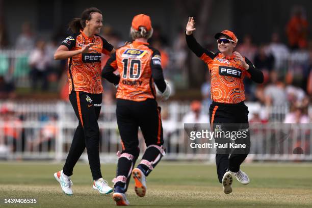 Piepa Cleary of the Scorchers celebrates the wicket of Laura Wolvaardt of the Strikers during the Women's Big Bash League match between the Perth...