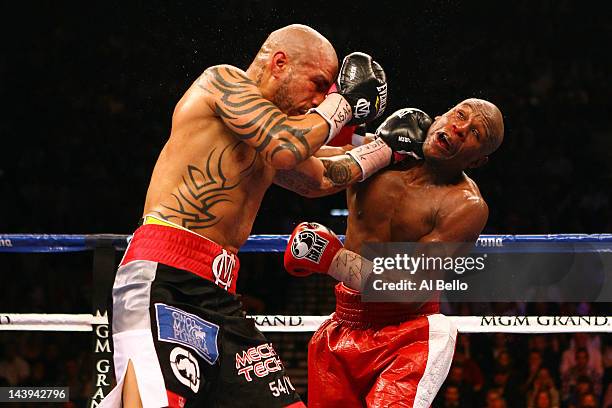 Miguel Cotto connects with a left punch to the face of Floyd Mayweather Jr. During their WBA super welterweight title fight at the MGM Grand Garden...