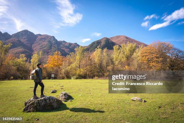 autumn at abruzzo national park, la camosciara - parque nacional de abruzzo fotografías e imágenes de stock