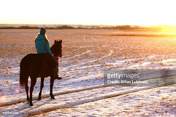woman on horse - saskatoon stockfoto's en -beelden