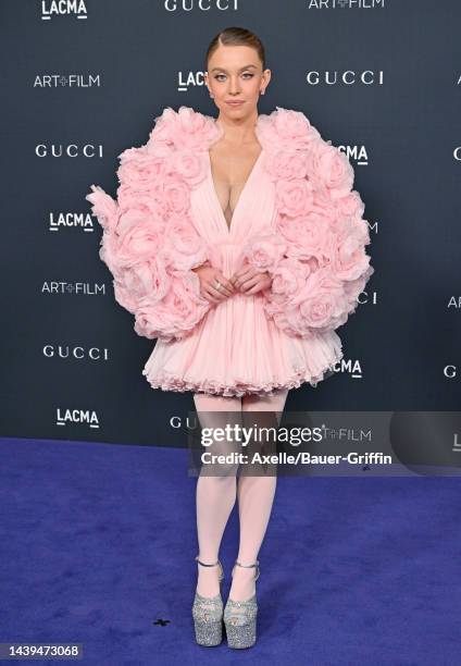 Sydney Sweeney attends the 11th Annual LACMA Art + Film Gala at Los Angeles County Museum of Art on November 05, 2022 in Los Angeles, California.