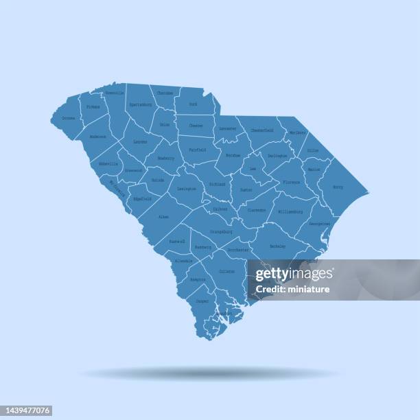 south carolina map - south carolina stock illustrations