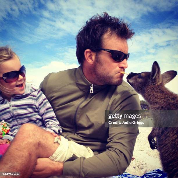 man feeding wallaby by mouth with child watching - marsupiale foto e immagini stock